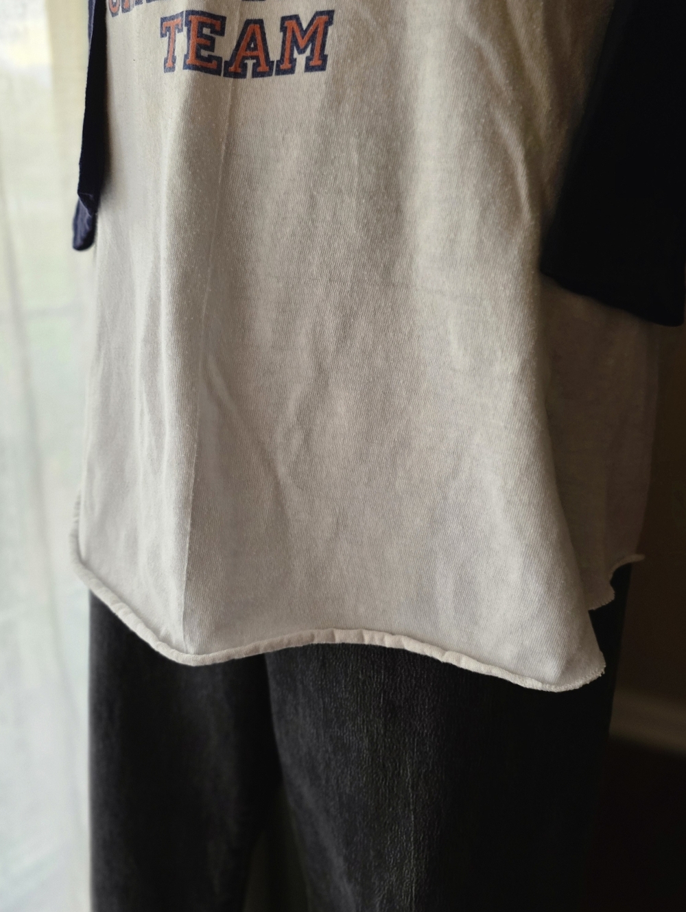 Vintage 1984 Detroit Tigers Championship Team Raglan Shirt Collectors Dream XL - Picture 4 of 9
